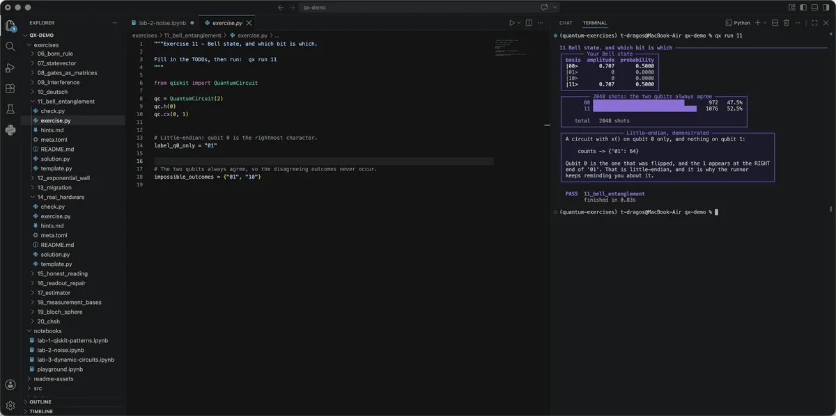 VS Code with exercise.py open on the left and the integrated terminal on the right, showing a passing run of exercise 11.
